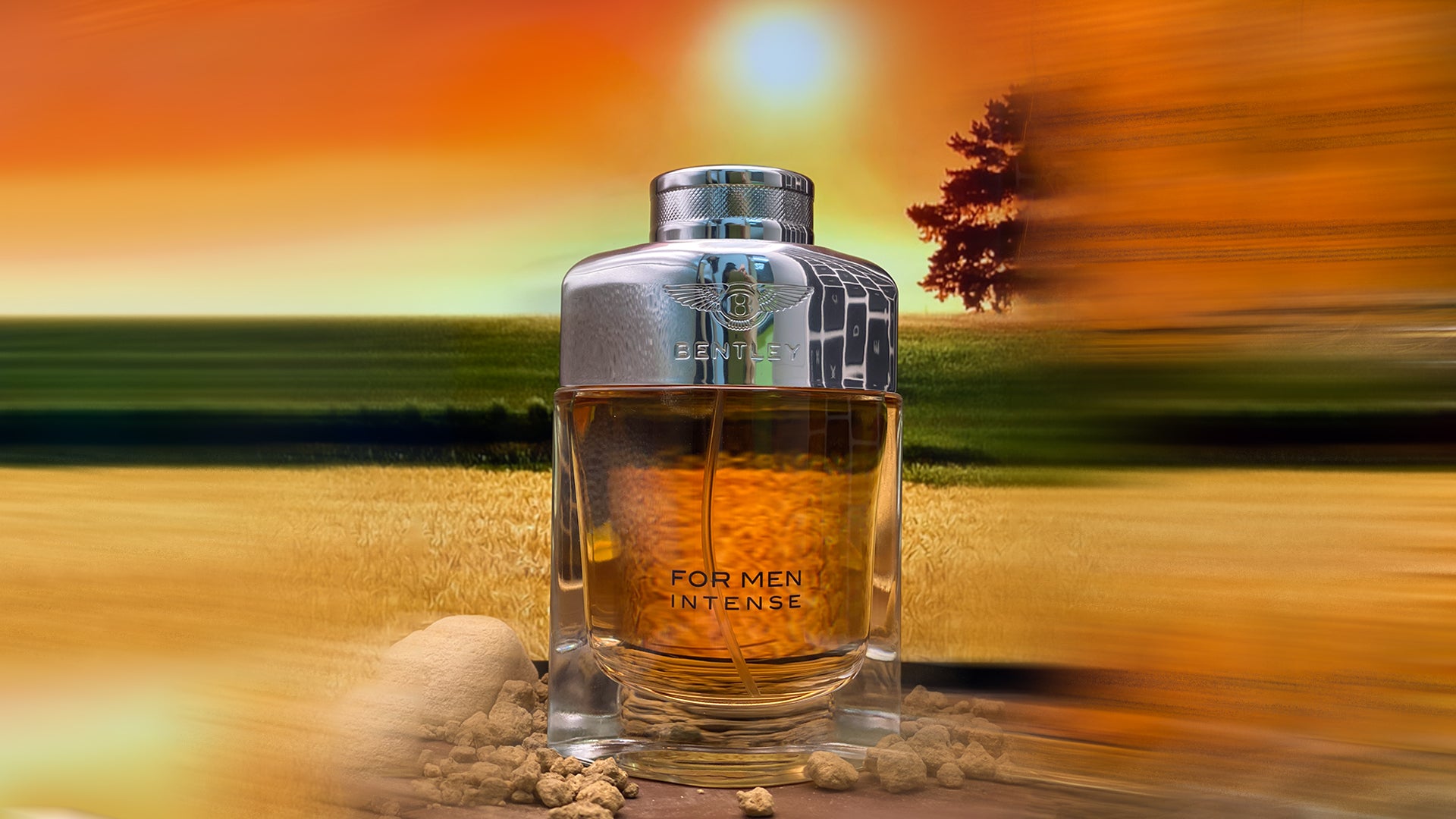 Bentley intense on sale fragrance