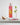 <img alt="Exotic Plum Front View">