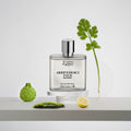 <img alt="Creation Lamis Arrivederci EDT 100ml front view">