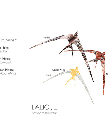 <img alt="Lalique Room Spray Vanille Acapulco olfactory explanation">