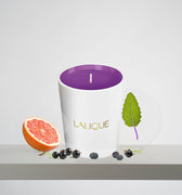 <img alt="Lalique Scented Candle Electric Purple 190g front view">