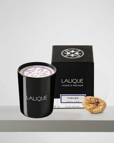 <img alt="Lalique Scented Candle Figuier Amalfi 190g with box">