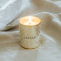 <img alt="Lalique Candle Noir Premier Plume Blanche 190g product shot">