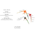 <img alt="Lalique Candle Noir Premier Plume Blanche 190g olfactory explained">