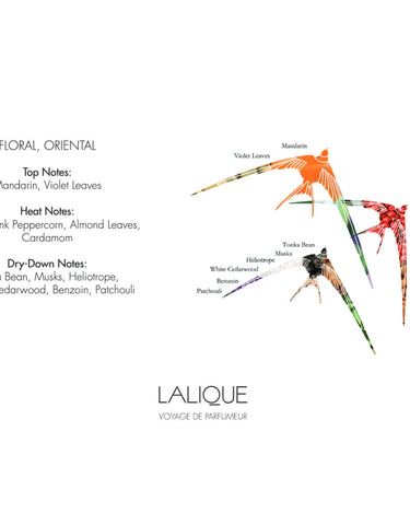 <img alt="Lalique Candle Noir Premier Plume Blanche 190g olfactory explained">